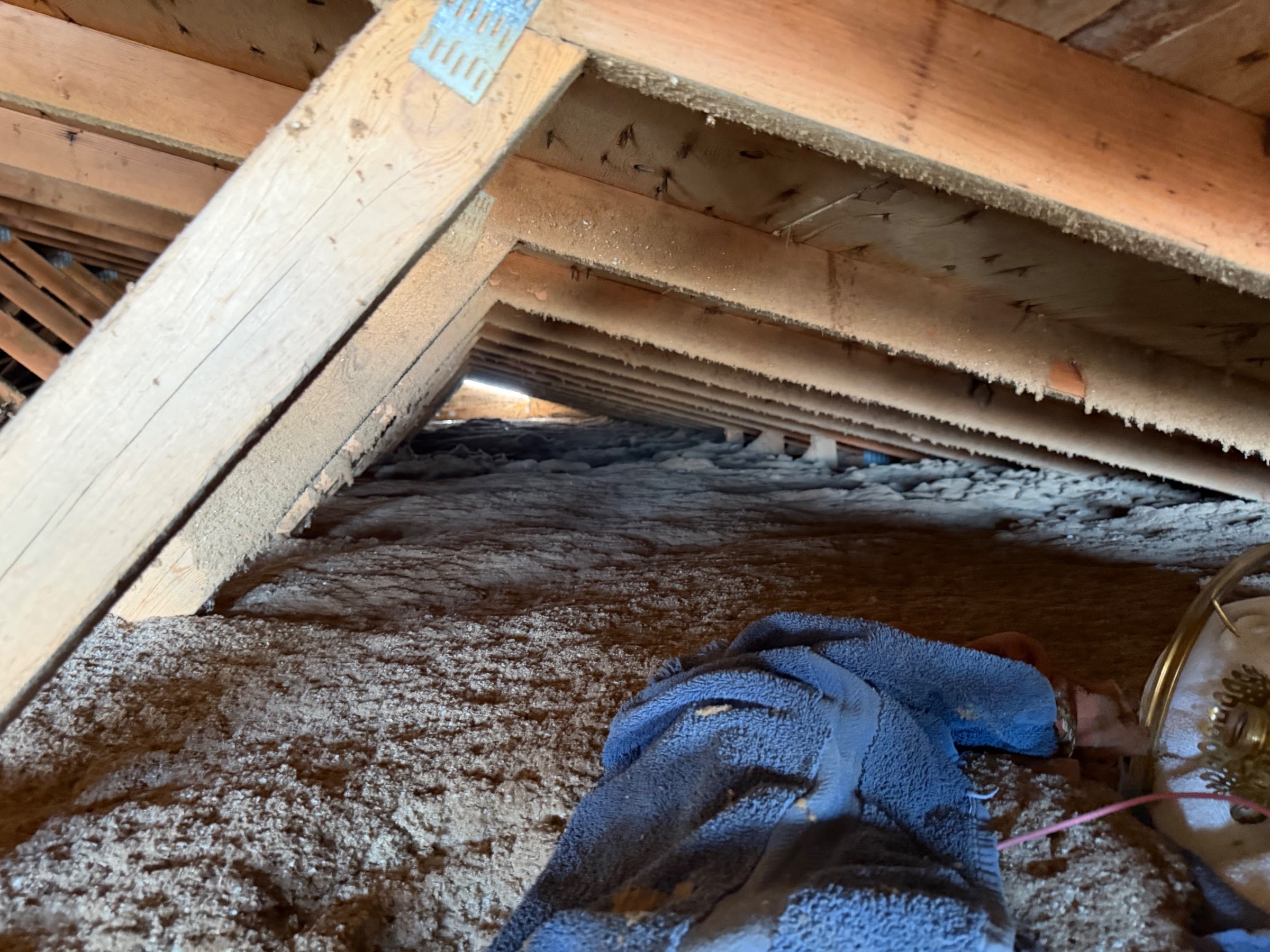 Before attic condition from American Fork before-and-after photo set 2