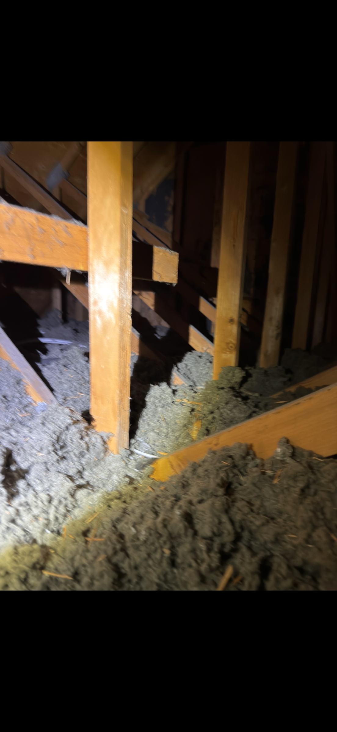 Before attic condition from Cottonwood Heights before-and-after photo set 3