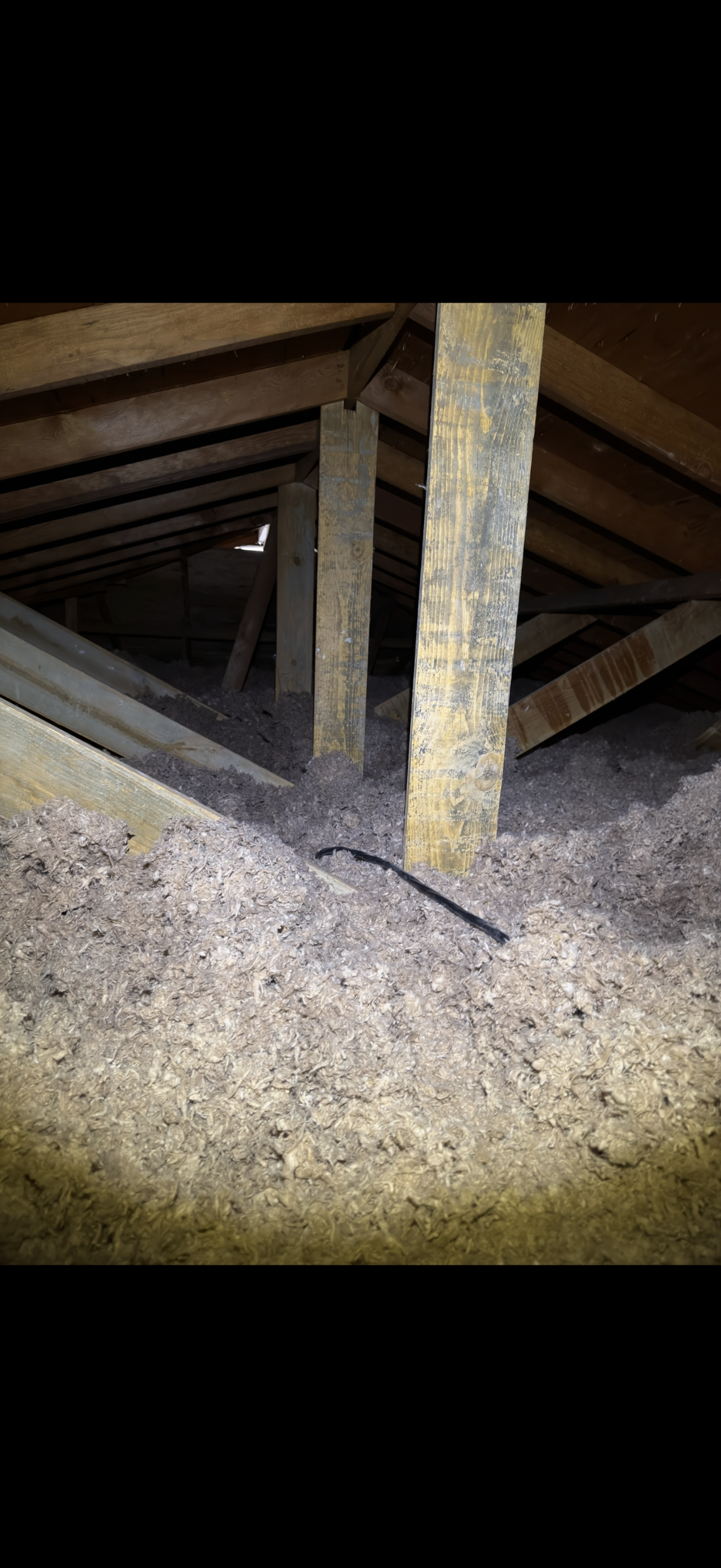 Before attic condition from Holladay before-and-after photo set 2