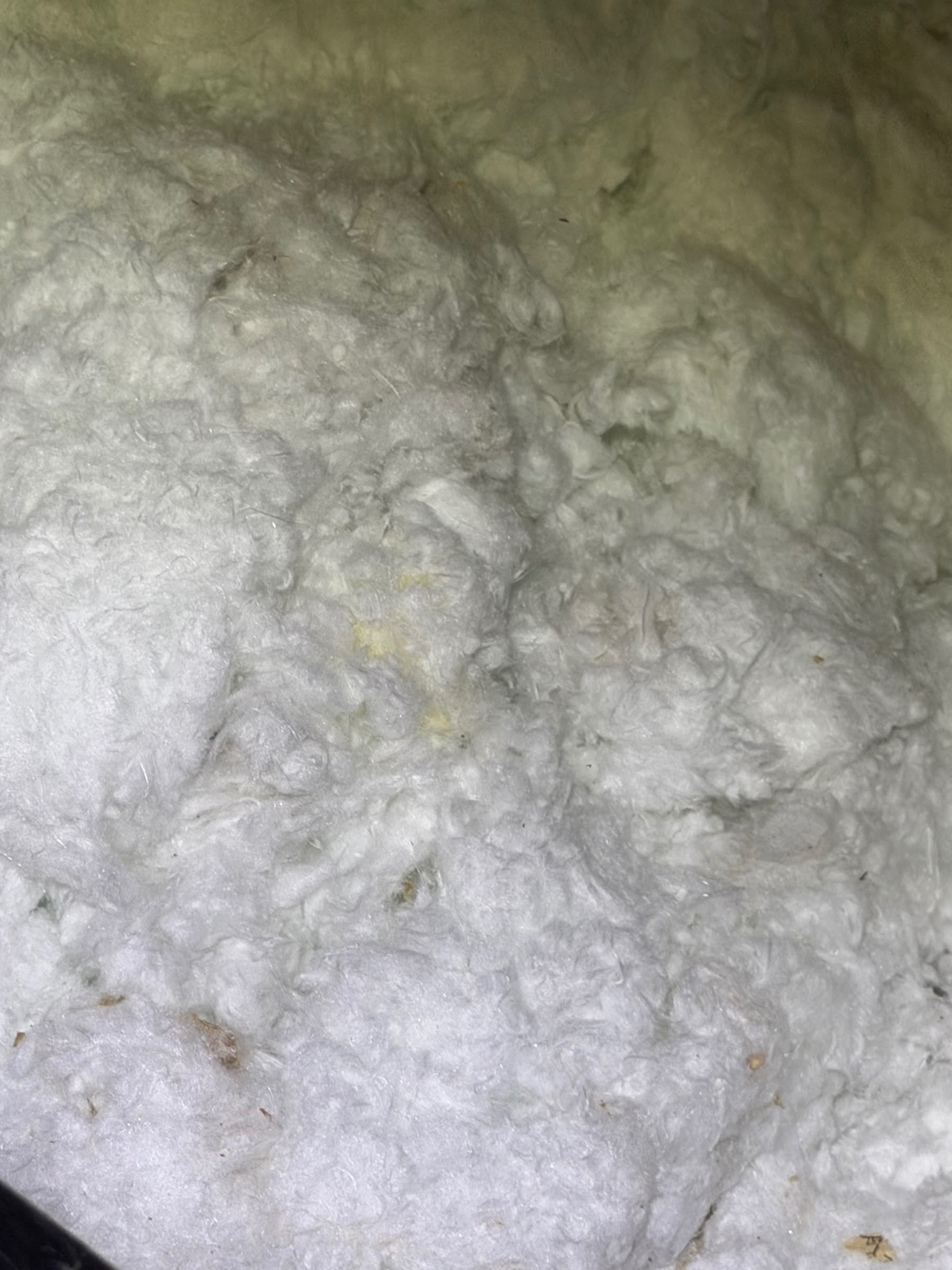 Before attic condition from Millcreek before-and-after photo set 1
