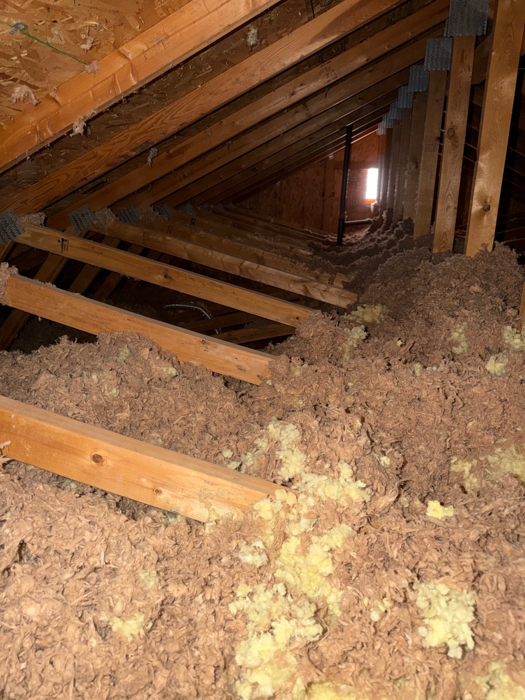 Before attic condition from Sugar House before-and-after photo set 2